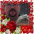 Lori Kerstetter's profile image