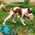 Patricia Williams's profile image