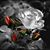Misty Iszler's profile image