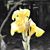 Pete Firside's profile image