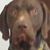 Terry E. Hornbacker's profile image