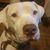 Jeff Anspach's profile image