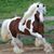 Vickie Hensley's profile image