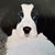 Gary Poole's profile image