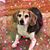 Beth Ann's profile image