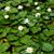 Sanderella Bella's profile image