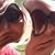 Michelle B. Pascucci's profile image
