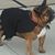 Staci Carter Wishart's profile image