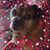 Terri Caley Conrad's profile image