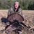 Calvin Wilbers's profile image