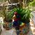 Dianne Vela's profile image