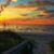 Debbie Hess's profile image