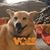 Max Krohn-Ching's profile image