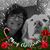 Maryann Barra's profile image
