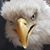Janie Higgins's profile image