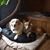 Tina Cole-Fleming's profile image