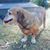 Brad Cuthbertson's profile image