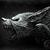 John Bruner's profile image
