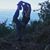 Suzanne Fiedler's profile image