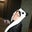 Gidget Jordan's profile image