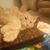 Amanda Erpenbach's profile image