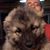 Don Cross's profile image