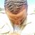 Nguvu Na Amani's profile image