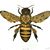 Bea Kinde's profile image