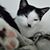 Laura Jones's profile image