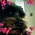 Jack M Freedman's profile image