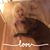 Sarah J. Wildt's profile image