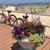 Sharon Majewicz Schmidt's profile image