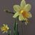 Laurie Schelb Doering's profile image