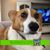 William Stabler's profile image