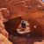 Sandra Vaughn - Pottorff's profile image