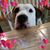 Ann Linne Mahr's profile image
