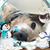 Jodi Strissel Dougherty's profile image