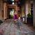 Lauren Levin Mandel's profile image