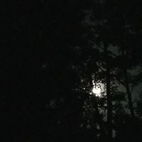 Ina Livingston Grove's profile image