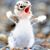 Cheryl Anderson's profile image