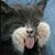 Lisa Jenkins's profile image