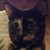 Michelle Weese's profile image