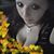 Michelle Rawls's profile image