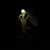 Cydney Rallo's profile image