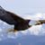 Jeri Lynn Springs Walters's profile image