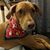 Becka SparrowDynamic Johnson's profile image