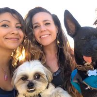 Erin Malone's profile image