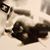 Christie Seibert's profile image