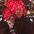 Becky Koster Carr's profile image
