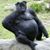 Bob Henderson's profile image